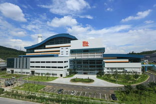 一把手談品牌 實力 責任 綠色 看深圳能源如何擦亮國企品牌