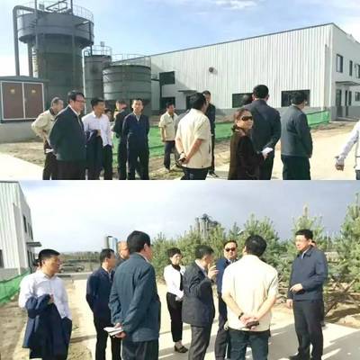 內(nèi)蒙古自治區(qū)黨委常委、呼和浩特市委書(shū)記云光中一行蒞臨萬(wàn)德斯環(huán)保項(xiàng)目現(xiàn)場(chǎng)視察指導(dǎo)